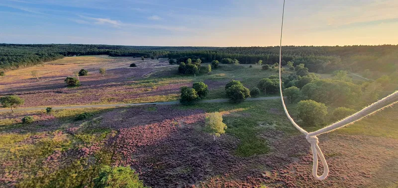 Ballonvaart boven de heide in bloei bij Deelen met 4CB Ballonvaarten – paars landschap op de Veluwe